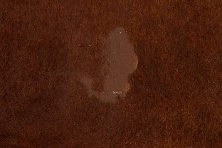 6' 7 x 7' 3 Cowhide Leather Square Rug