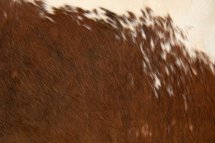 6' 3 x 6' 8 Cowhide Leather Square Rug