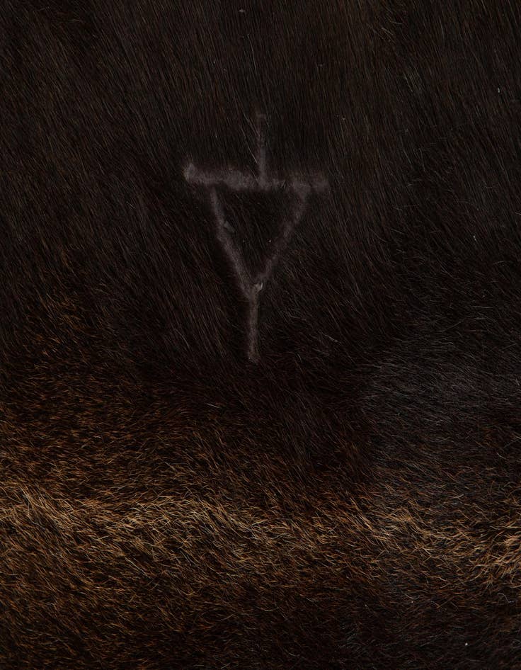 Detail image of 5' 3 x 5' 10 Cowhide Leather Square Rug