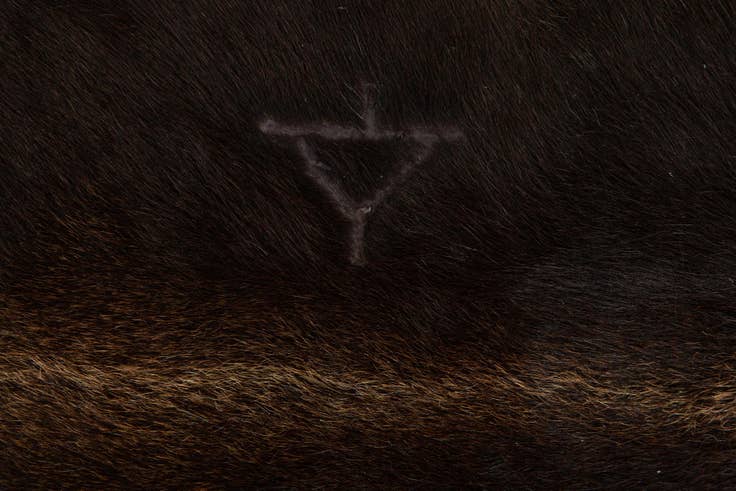 Detail image of 5' 3 x 5' 10 Cowhide Leather Square Rug