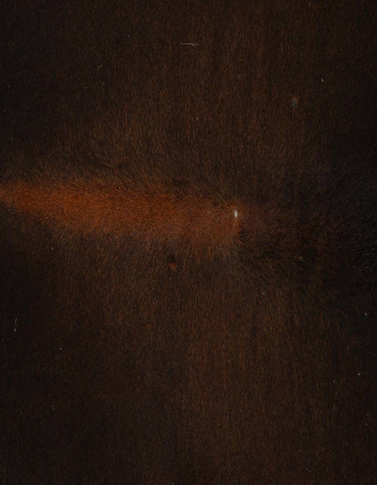 Detail image of 5' 5 x 5' 9 Cowhide Leather Square Rug