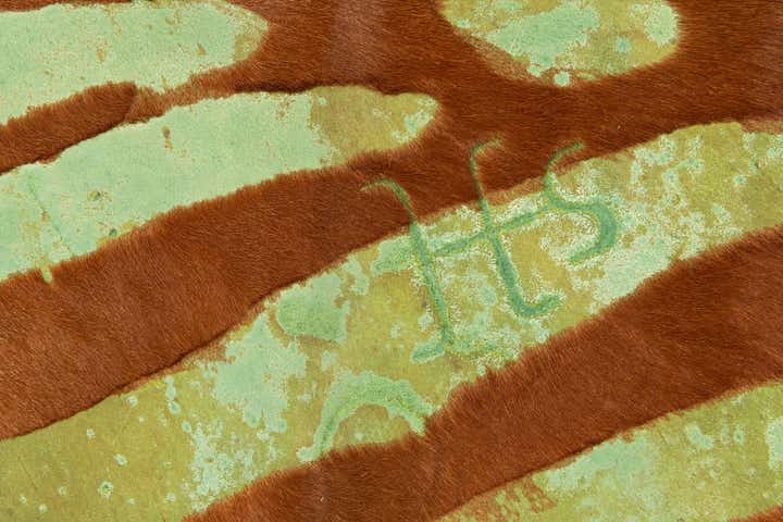 6' 8 x 7' 6 Cowhide Leather Square Rug