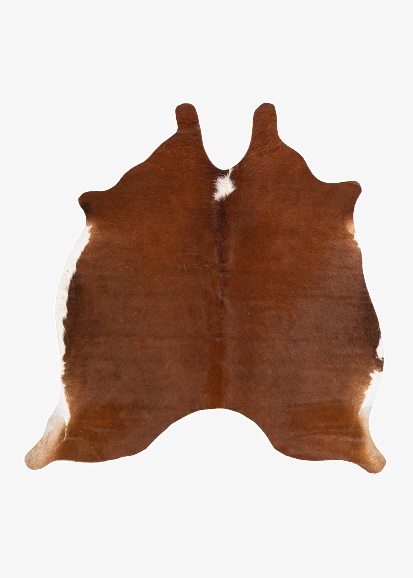 5' 5 x 5' 5 Cowhide Leather Square Rug