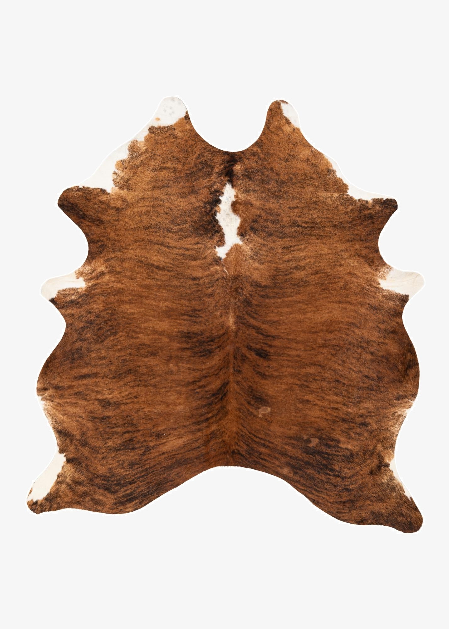 5' 3 x 5' 8 Cowhide Leather Square Rug