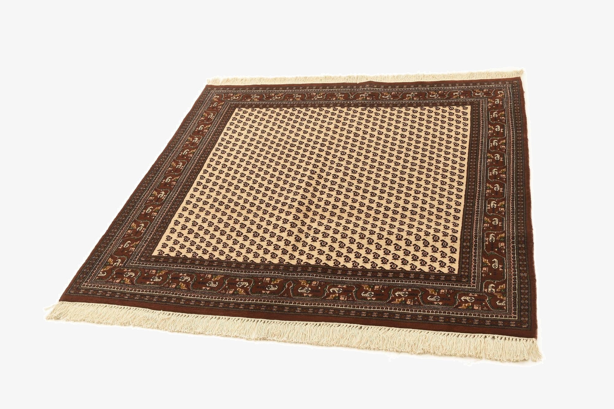 5' 1 x 5' 1 Mir Square Rug