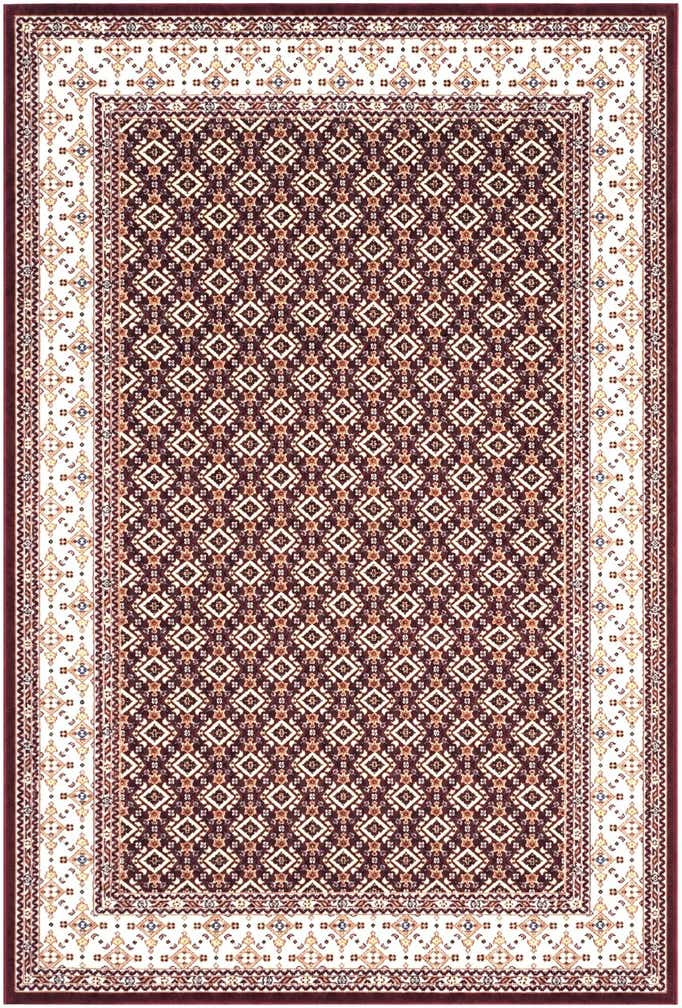 4' x 6' Nain Design Rug