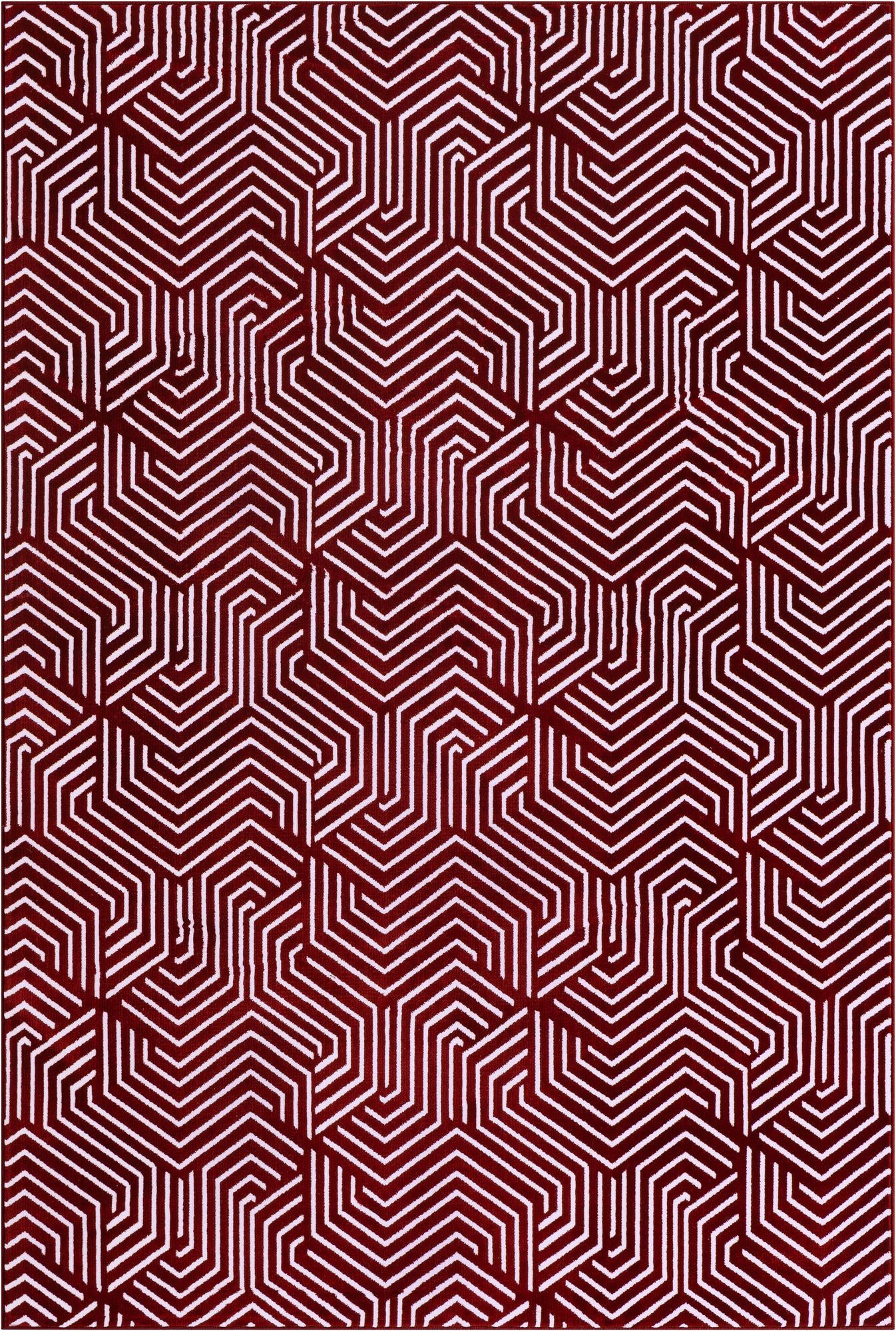 5' 3 x 8' Aakaar Rug