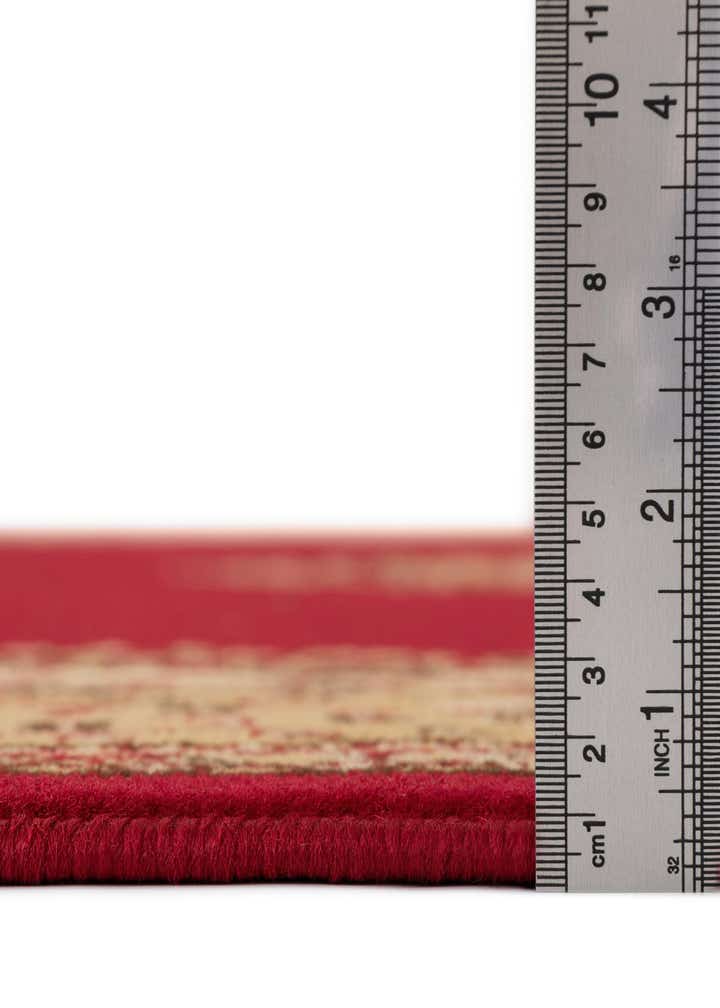 2' x 3' Amaya Rug
