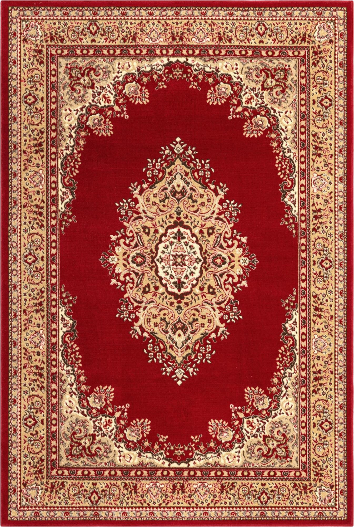 6' x 9' Amaya Rug