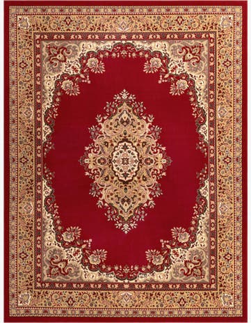 9' x 12' Amaya Rug
