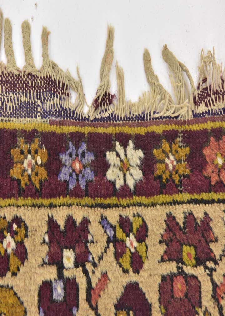 4' x 7' Hand Knotted Anatolian Oriental Wool Rug