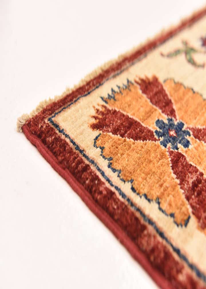 5' x 6' 9 Hand Knotted Ariana Ziegler Rug