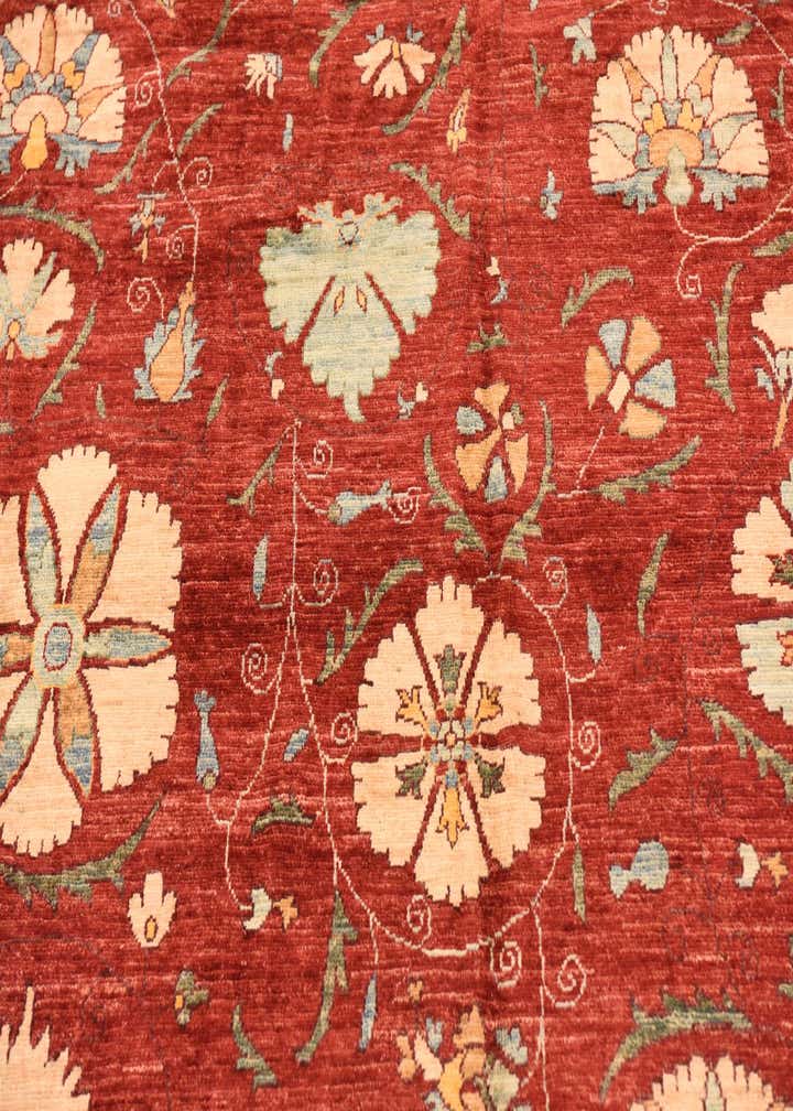 5' 10 x 8' 1 Hand Knotted Ariana Ziegler Oriental Rug