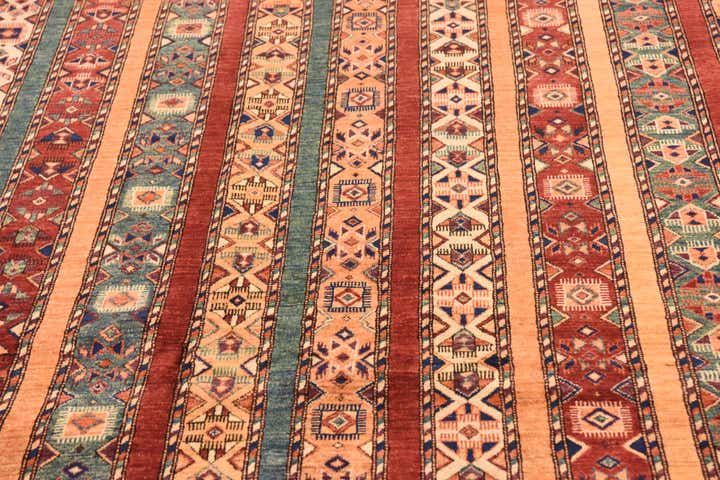 6' 6 x 9' 6 Hand Knotted Ariana Ziegler Rug