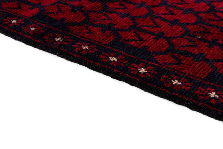 Detail image of 2' 11 x 4' 9 Hand Knotted Balouch Persian Wool Rug