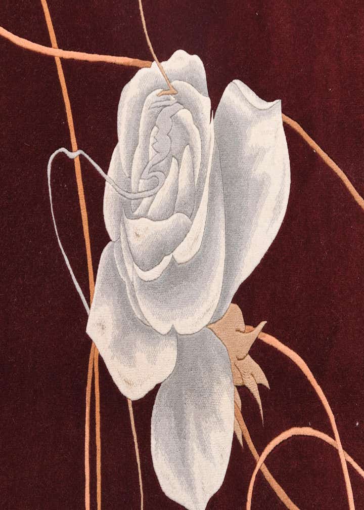 5' x 6' 8 Hand Knotted Darya Wool Rug