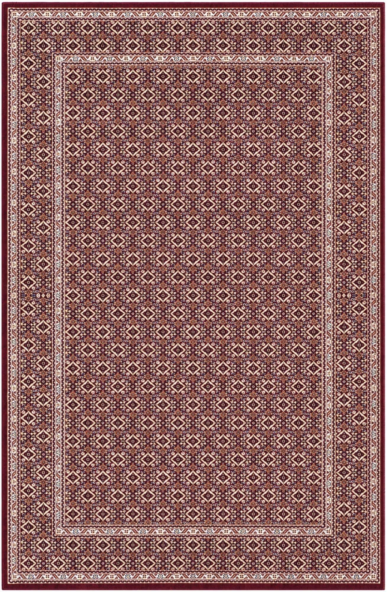 5' 3 x 8' Nain Design Rug