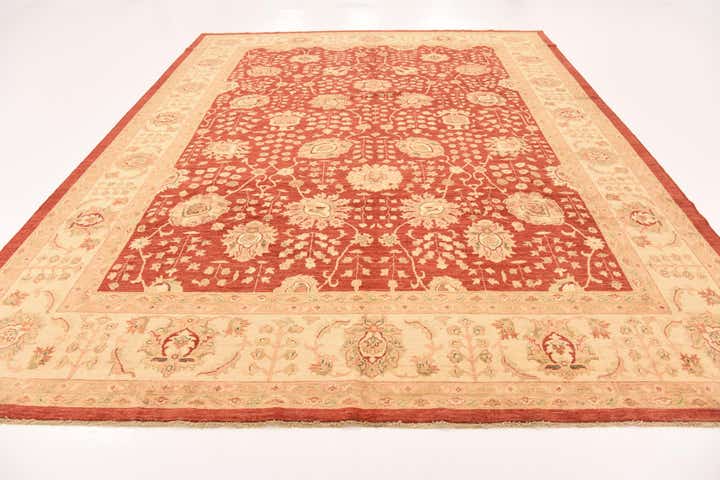 10' x 12' 10 Hand Knotted Peshawar Ziegler Rug