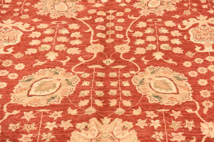 10' x 12' 10 Hand Knotted Peshawar Ziegler Rug