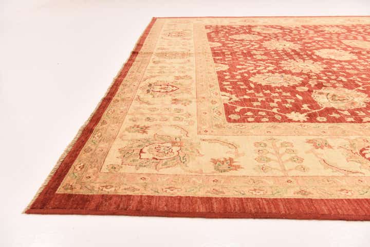10' x 12' 10 Hand Knotted Peshawar Ziegler Rug