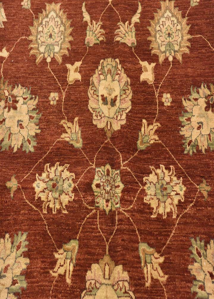 5' 5 x 8' 2 Hand Knotted Peshawar Ziegler Rug