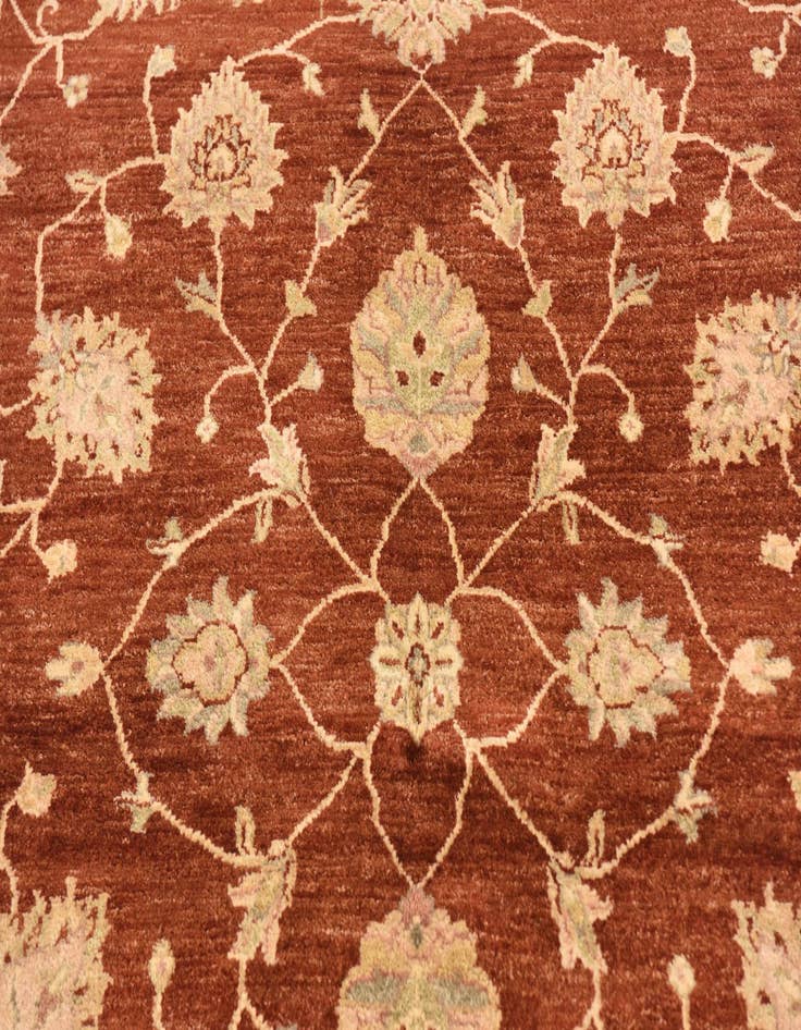 Detail image of 5' x 6' 8  Hand Knotted Peshawar Ziegler Rug