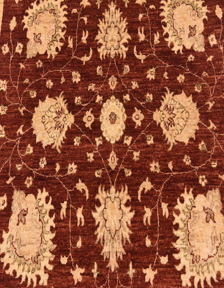 Detail image of 5' 8 x 7' 8  Hand Knotted Peshawar Ziegler Rug