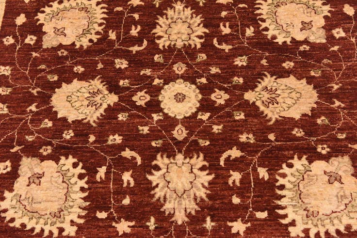 Detail image of 5' 8 x 7' 8 Hand Knotted Peshawar Ziegler Rug