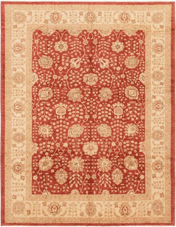 10' x 12' 10 Hand Knotted Peshawar Ziegler Rug