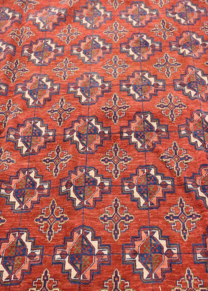 9' 10 x 13' 2 Hand Knotted Torkaman Wool Rug