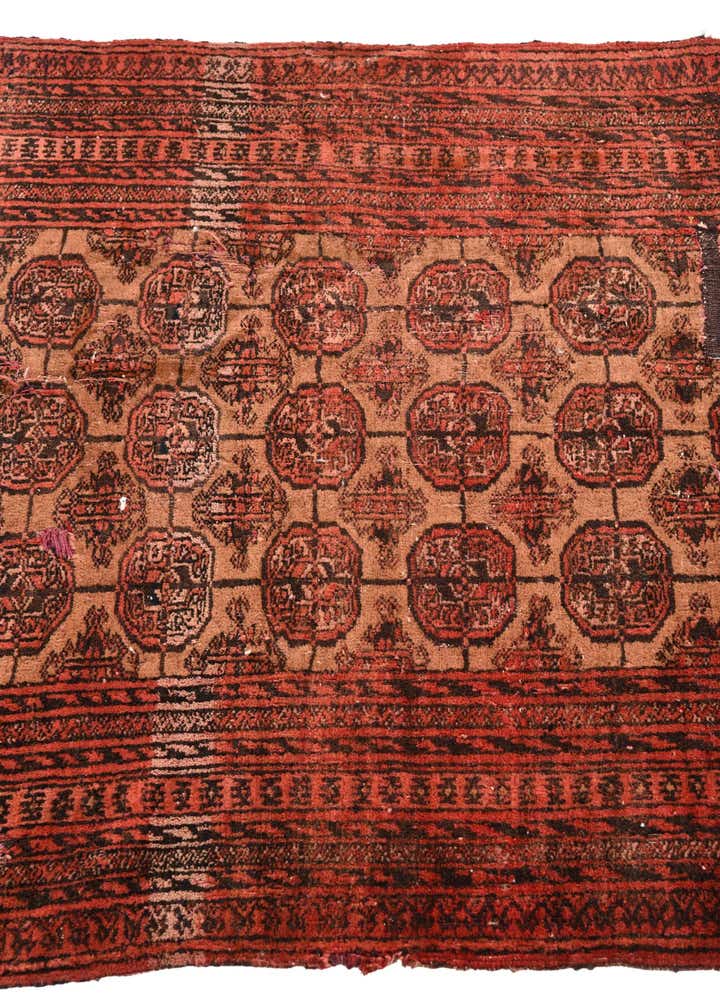 2' 9 x 4' 9 Hand Knotted Torkaman Persian Wool Rug