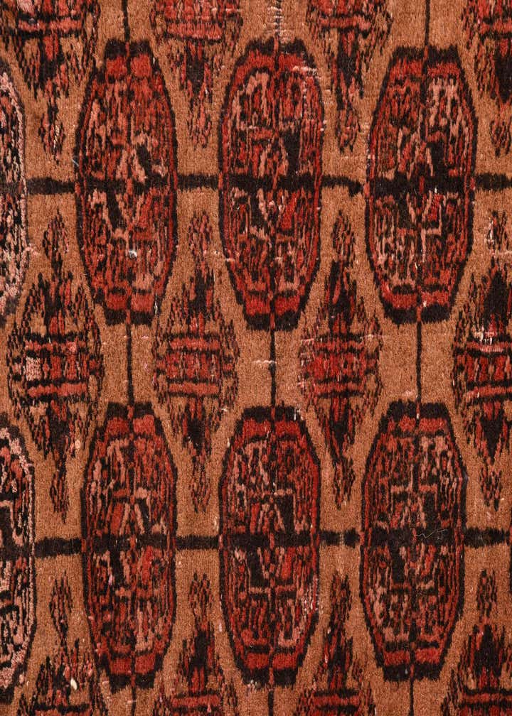 2' 9 x 4' 9 Hand Knotted Torkaman Persian Wool Rug