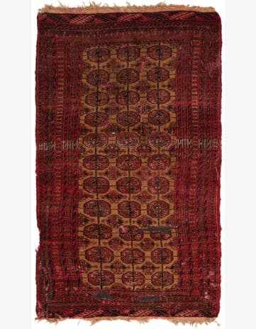 2' 9 x 4' 9 Hand Knotted Torkaman Persian Wool Rug