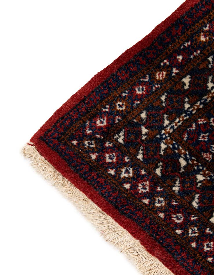 Detail image of 6' 6 x 9' 9 Hand Knotted Torkaman Wool Rug