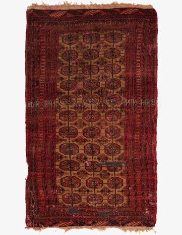 2' 9 x 4' 9 Hand Knotted Torkaman Persian Wool Rug