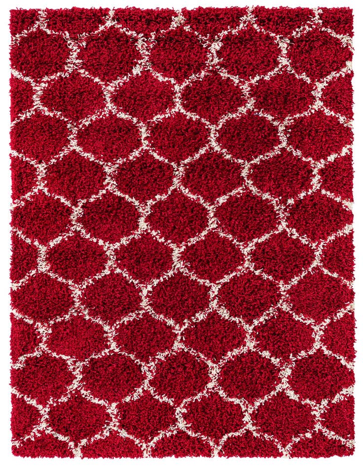 Detail image of 4' x 6' Lattice Shag Rug
