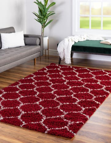 2' x 3' Trellis Shag Rug