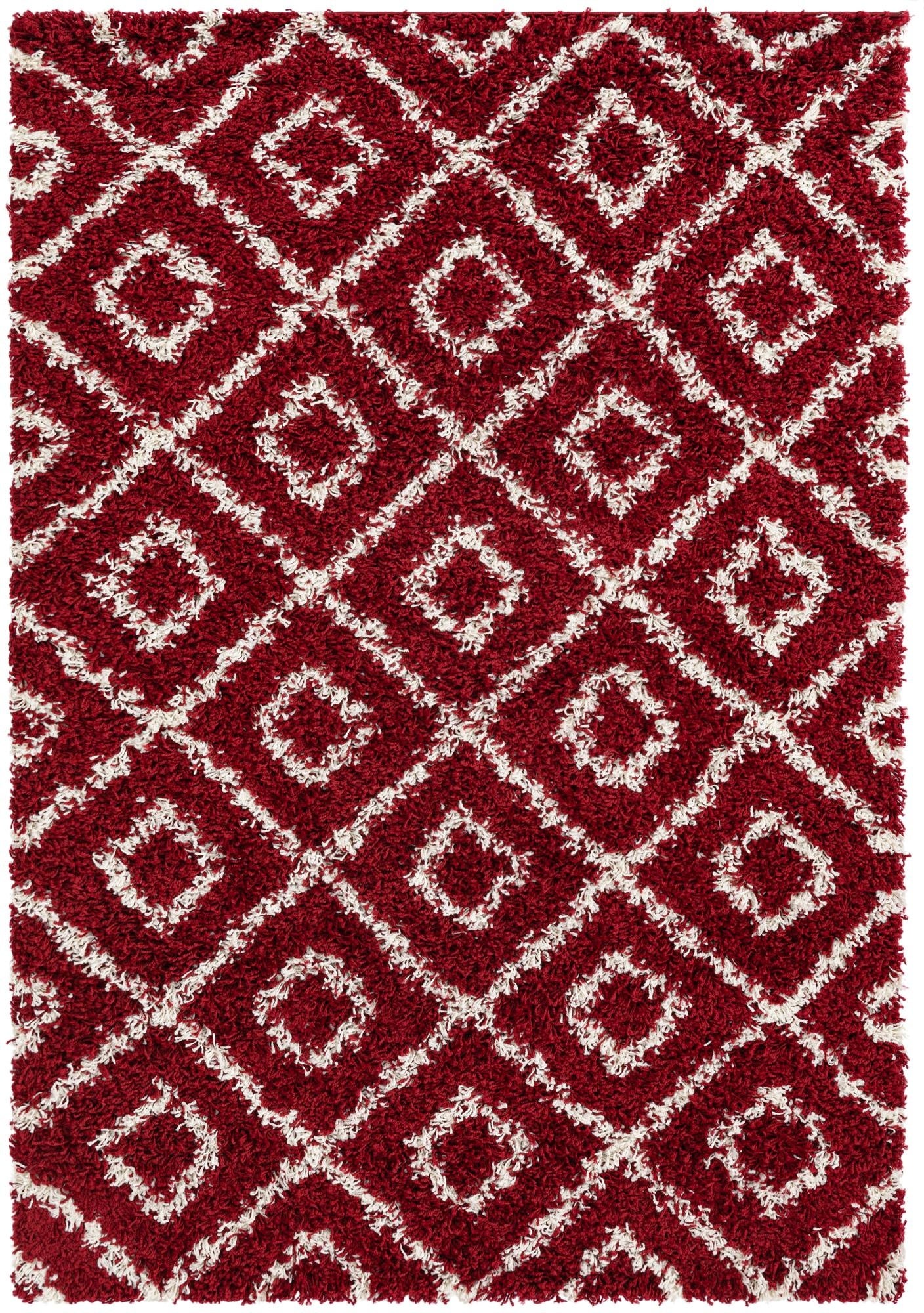 4' x 6' Trellis Shag Rug