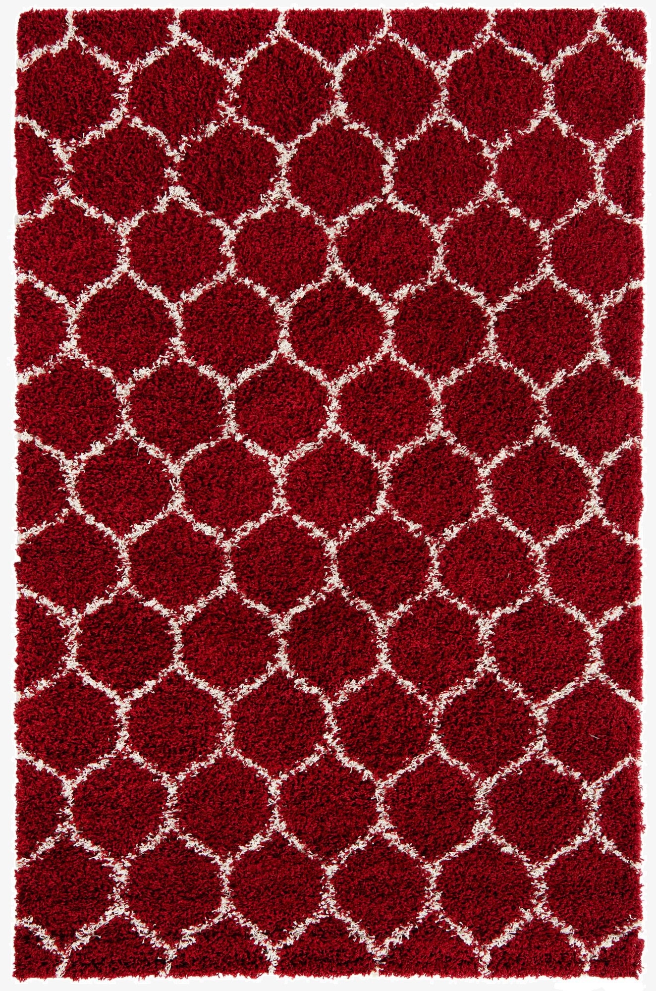 6' x 9' Trellis Shag Rug