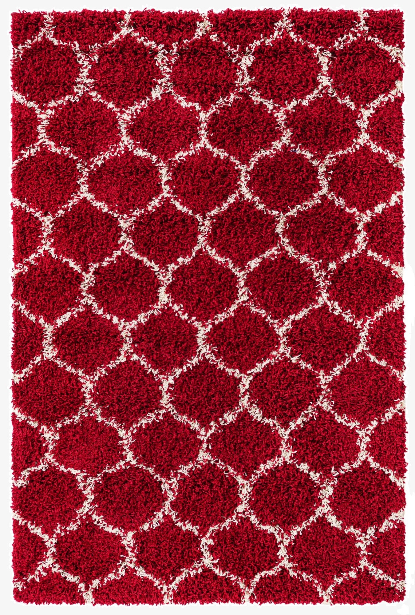 4' x 6' Trellis Shag Rug