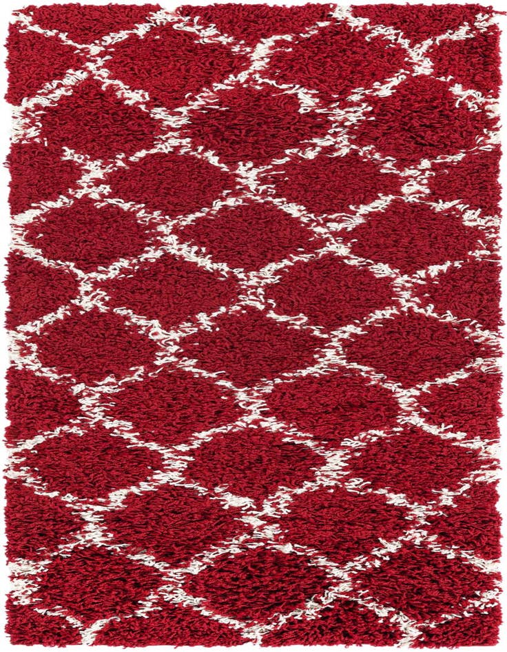 Detail image of 2' x 5' Lattice Shag Runner Rug