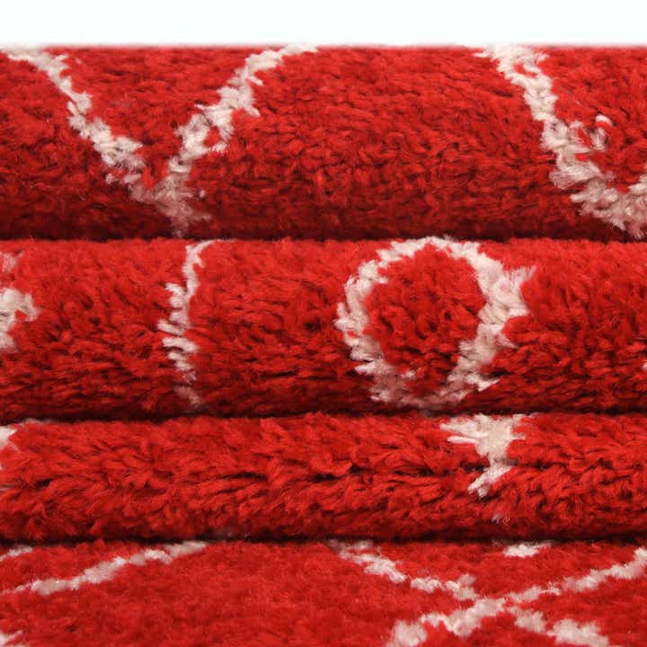 2' x 6' Moroccan Trellis Runner Rug