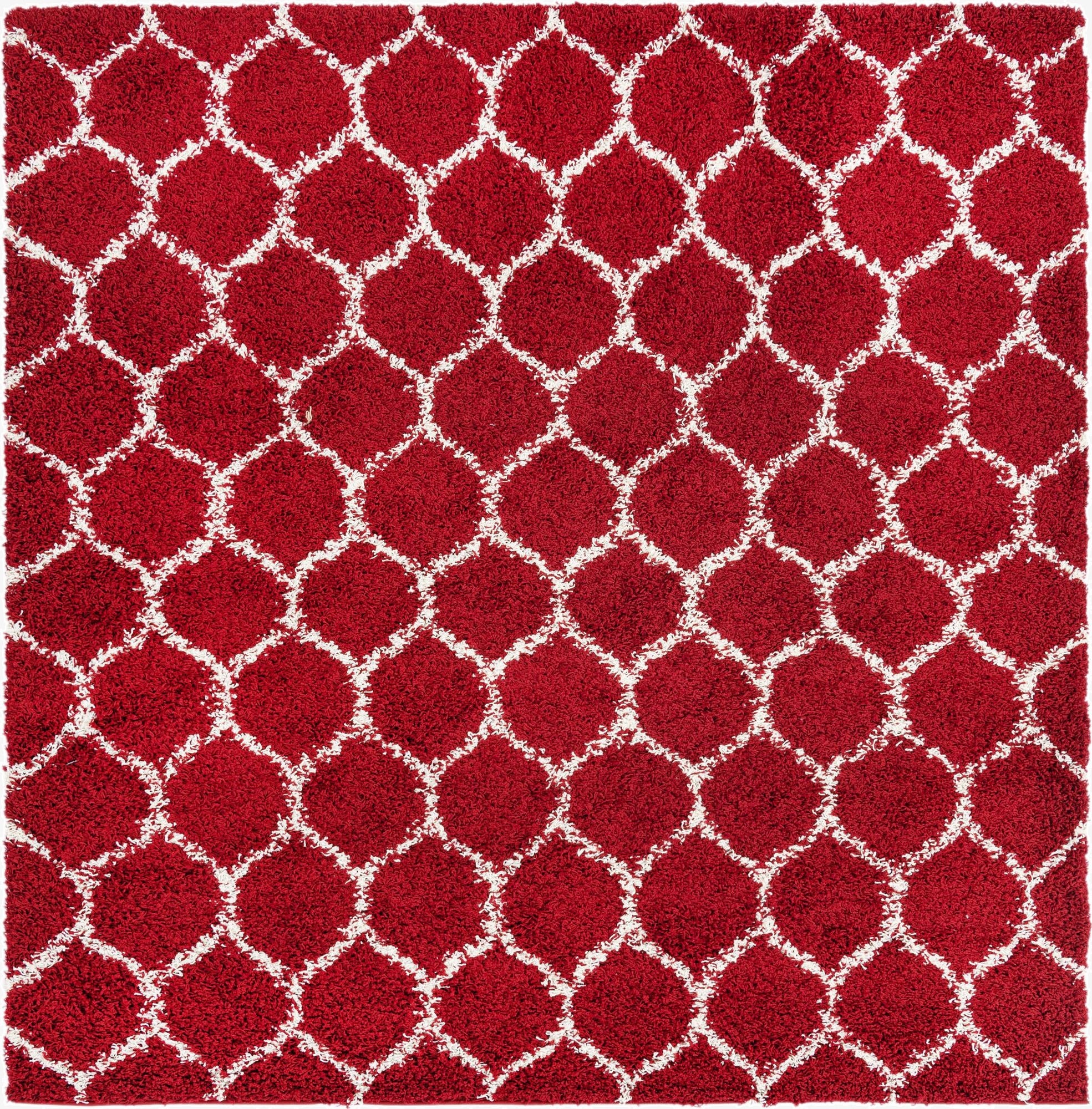 7' 10 x 7' 10 Trellis Shag Square Rug