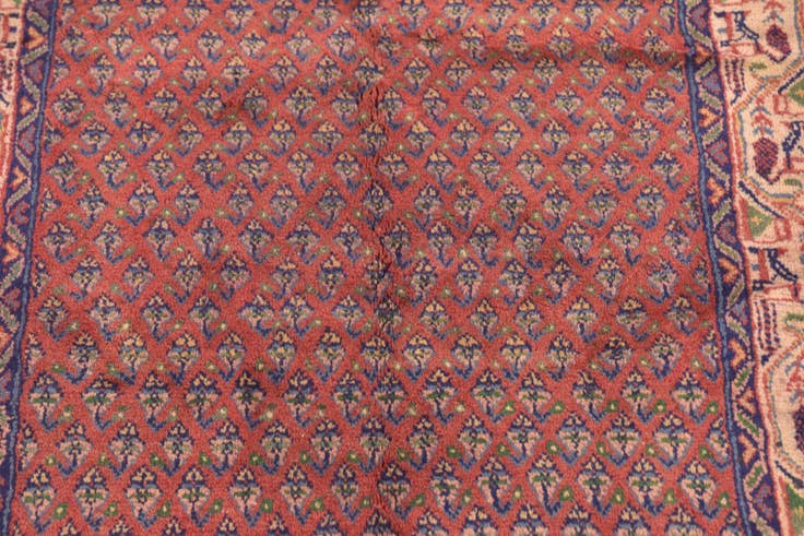 Detail image of 3' 8 x 10' 3 Hand Knotted Botemir Persian Wool Runner Rug