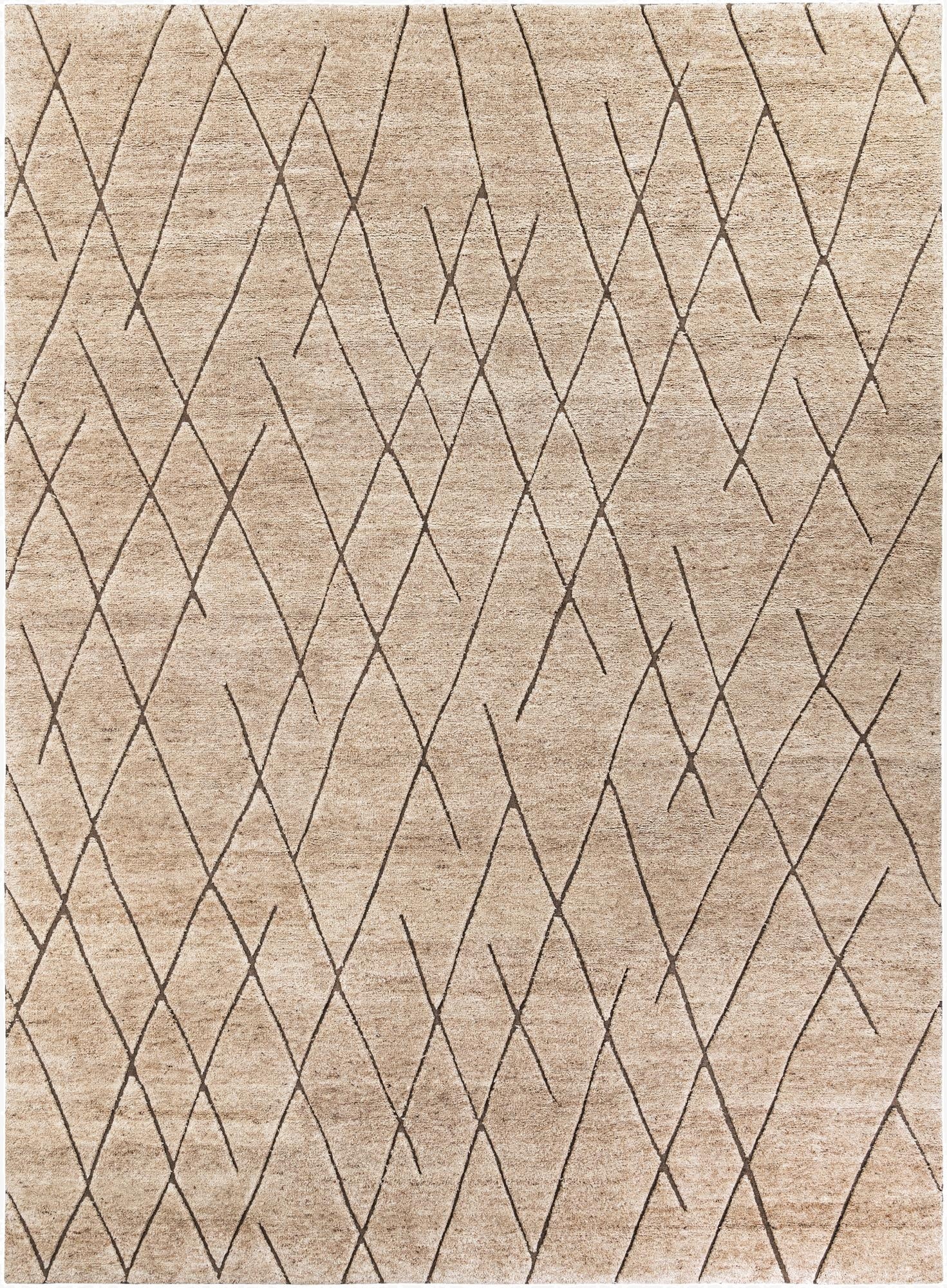 10' x 14' 1 Atlas Moroccan Wool Rug