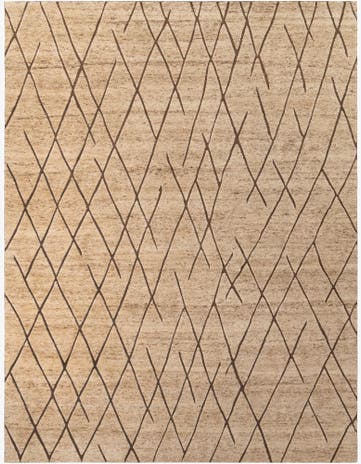 12' x 16' 1 Atlas Moroccan Wool Rug