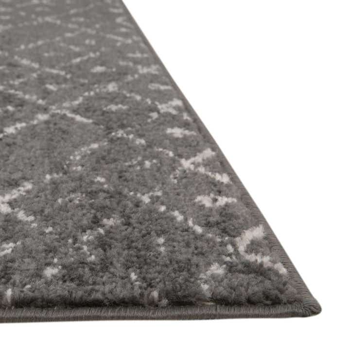 5' 3 x 5' 3 Paxon Trellis Octagon Rug