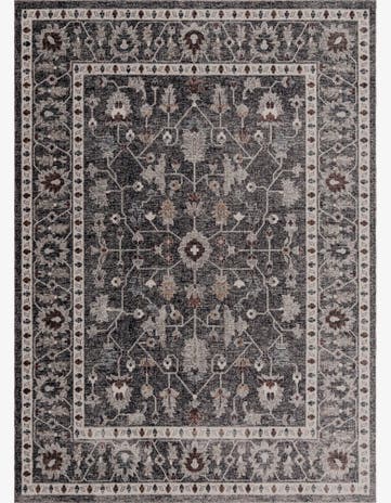 Charcoal Gray Eco Traditional Rug
