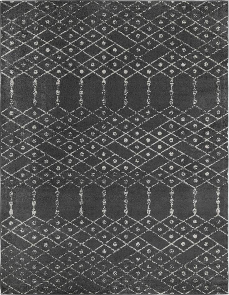 Detail image of 10' x 13' Paxon Trellis Rug