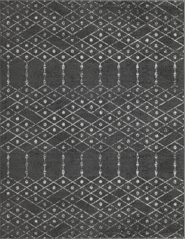 Detail image of 7' 10 x 10' Paxon Trellis Rug